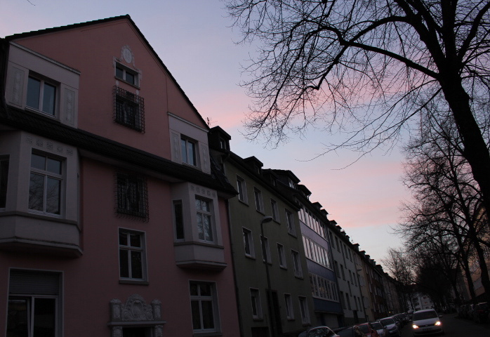 c0153740_335495.jpg