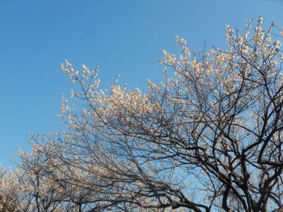a0142343_11241296.jpg