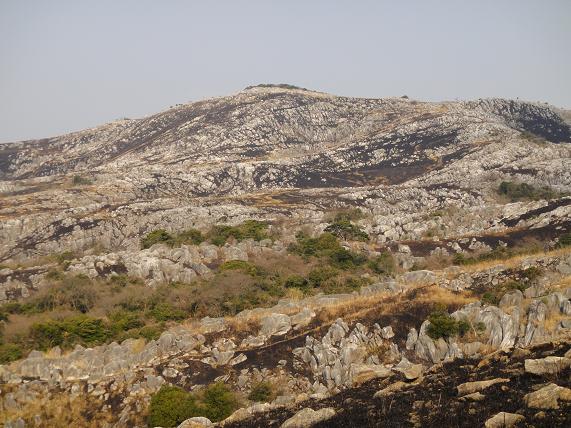 e0164643_21403011.jpg