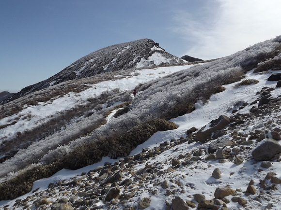a0206345_1045246.jpg