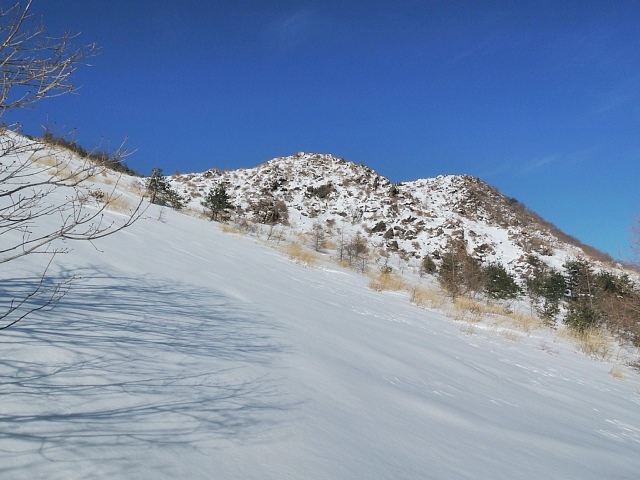 b0122448_2134540.jpg
