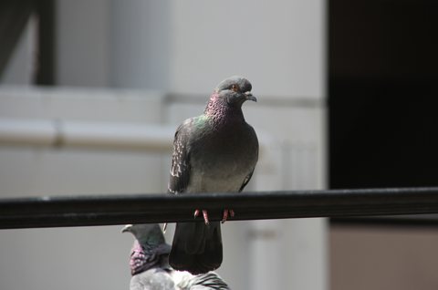 a0001756_1830275.jpg