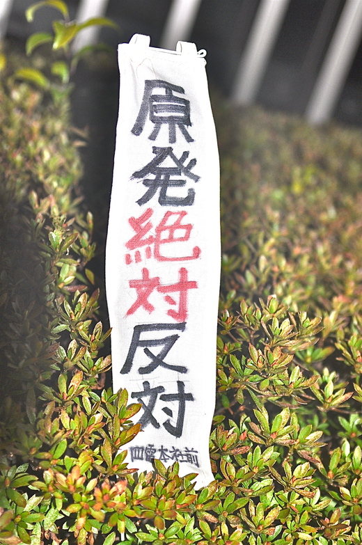 b0242956_2094331.jpg