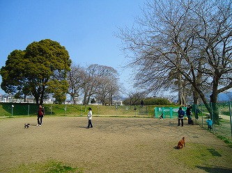 e0002466_12385463.jpg