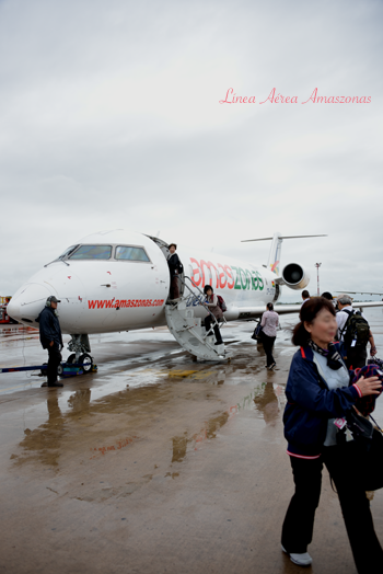 b0243873_15252860.png