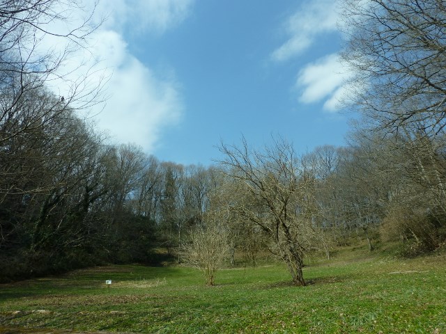 a0157174_18213089.jpg