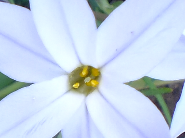 e0145782_14273736.jpg