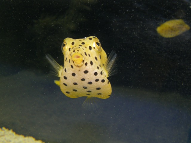 f0137483_025937.jpg