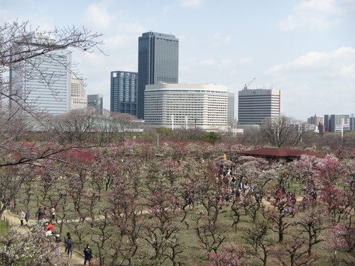 a0251786_22304285.jpg