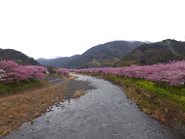 a0229491_493247.jpg
