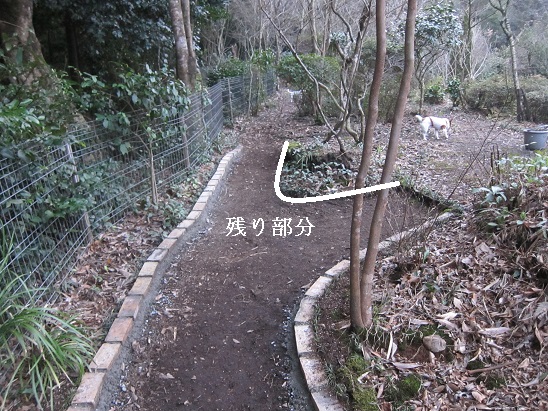 f0106692_18543286.jpg