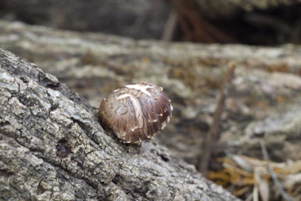 f0222692_2052766.jpg
