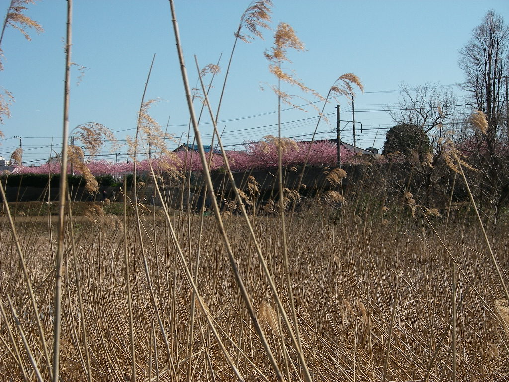 d0046294_1862889.jpg
