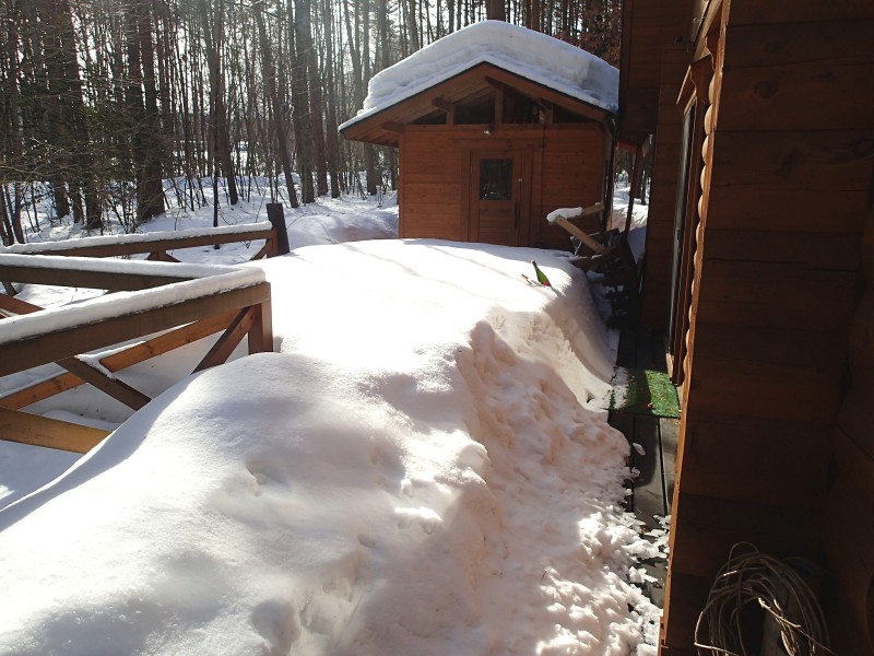 f0129994_2148537.jpg