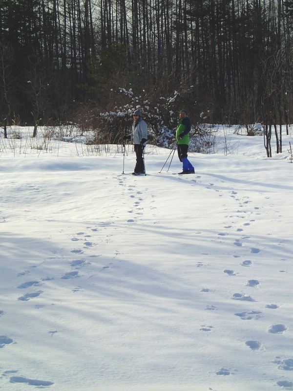 f0129994_21533587.jpg