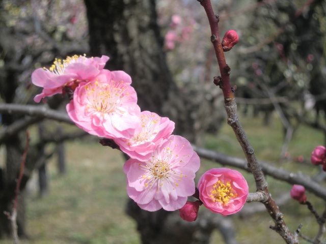 b0044296_21165393.jpg