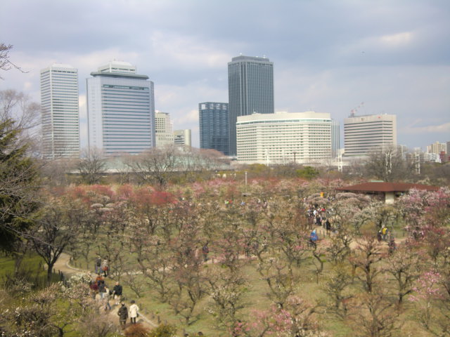 b0044296_21201619.jpg