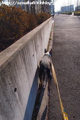 e0145805_1891787.jpg