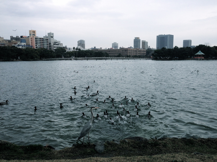 c0114110_18481011.jpg