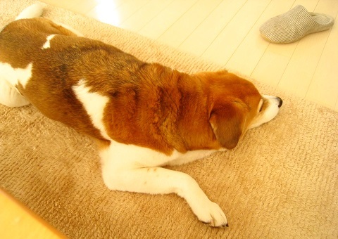 c0084117_17582430.jpg