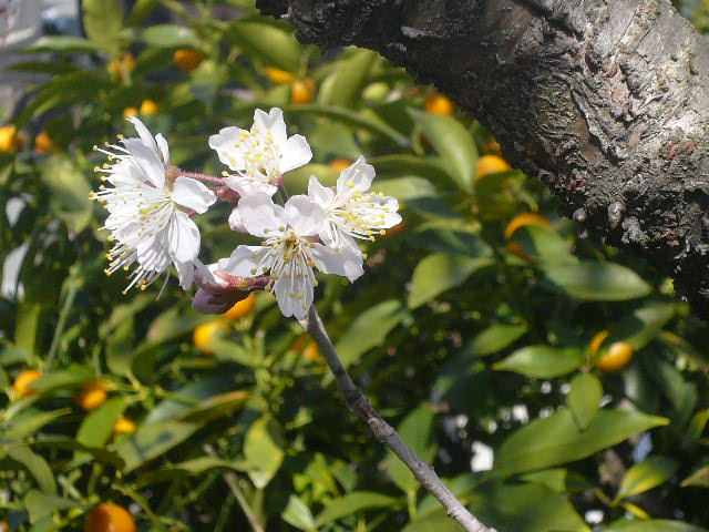 e0026017_16425859.jpg