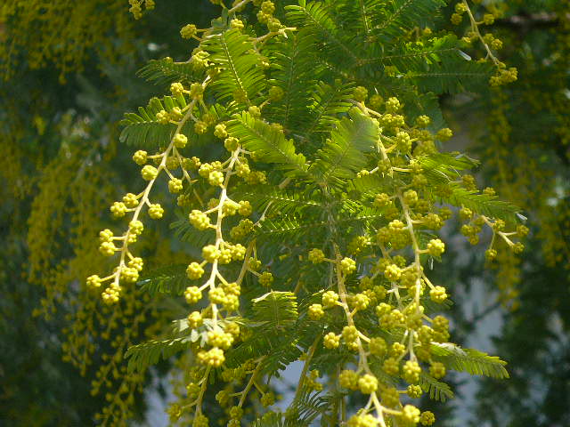 e0026017_1644621.jpg