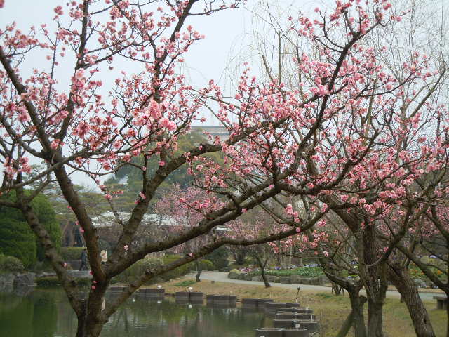 a0271519_1043272.jpg