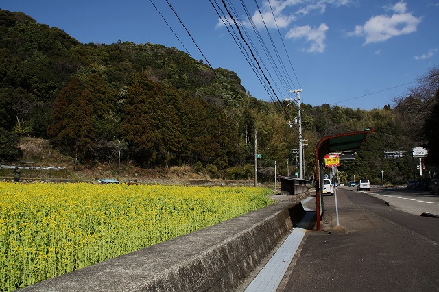 e0321325_1562836.jpg