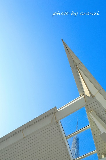 f0245725_7345796.jpg