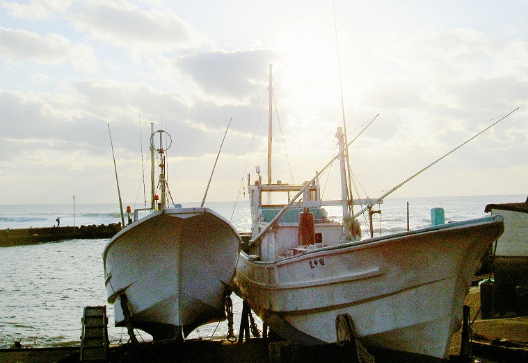 b0252727_661998.jpg