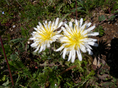 e0272335_20164562.jpg