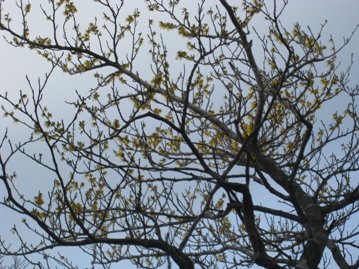 c0077338_682099.jpg