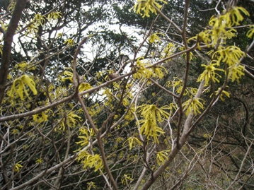 c0077338_684859.jpg