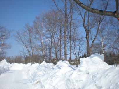 b0001440_1352184.jpg