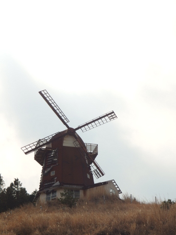 b0199742_20371771.jpg