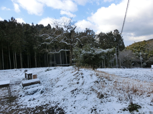 b0132746_10561305.jpg
