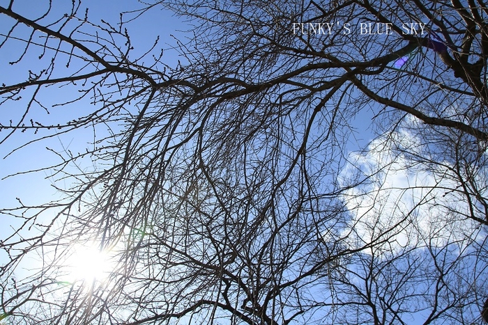 c0145250_11395710.jpg