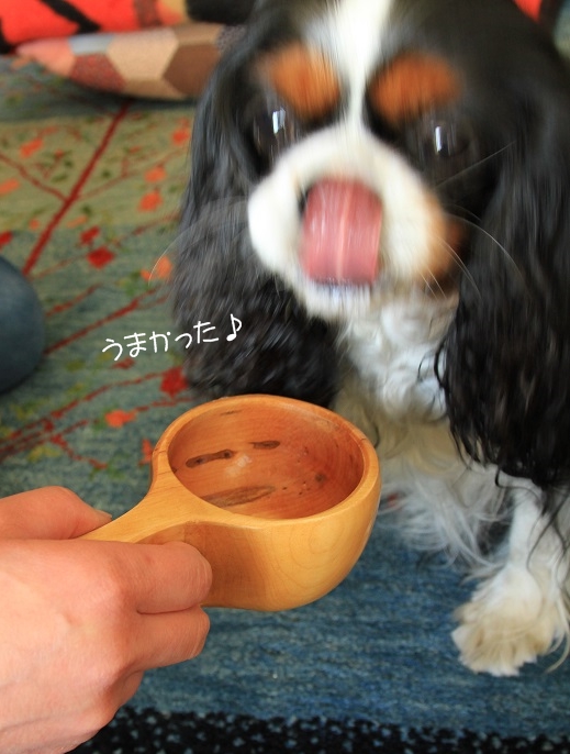 c0145250_1141488.jpg
