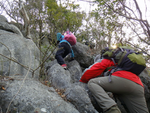 c0179351_2013372.jpg