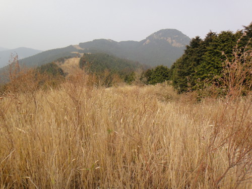 c0179351_20322185.jpg
