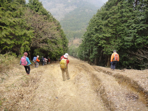 c0179351_2033853.jpg