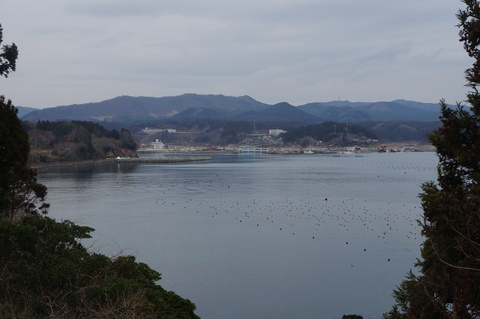 c0206352_14355577.jpg