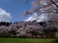 c0208355_16505418.jpg