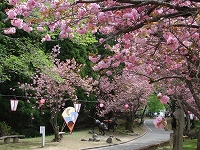 c0208355_16514985.jpg