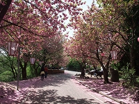 c0208355_1652233.jpg
