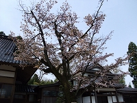 c0208355_16531380.jpg
