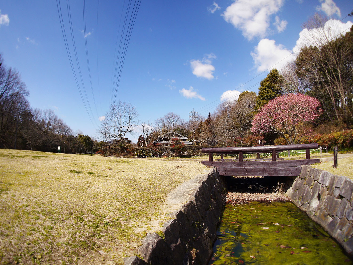 f0215767_15434776.jpg