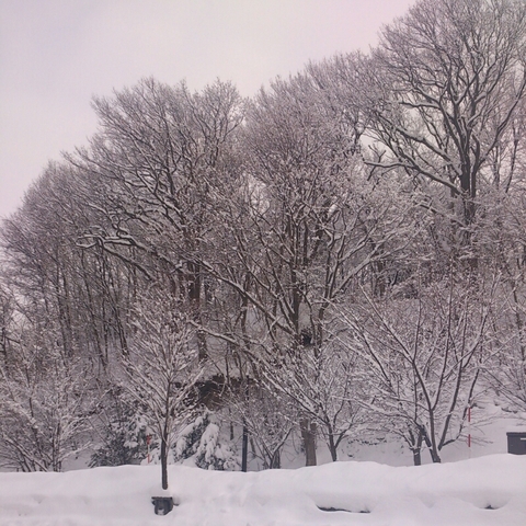 c0311170_9115538.jpg