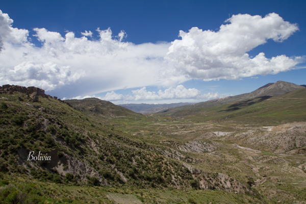 b0243873_13562367.png