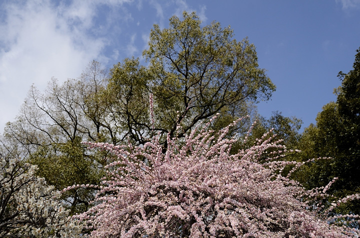 f0108478_1419890.jpg